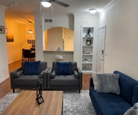 Escape place Cozy Apt at the Heart of H-Town