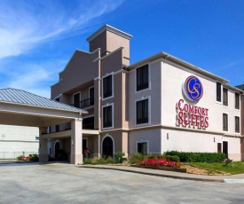 Comfort Suites Houston West At Clay Road